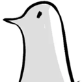 avatar for rain